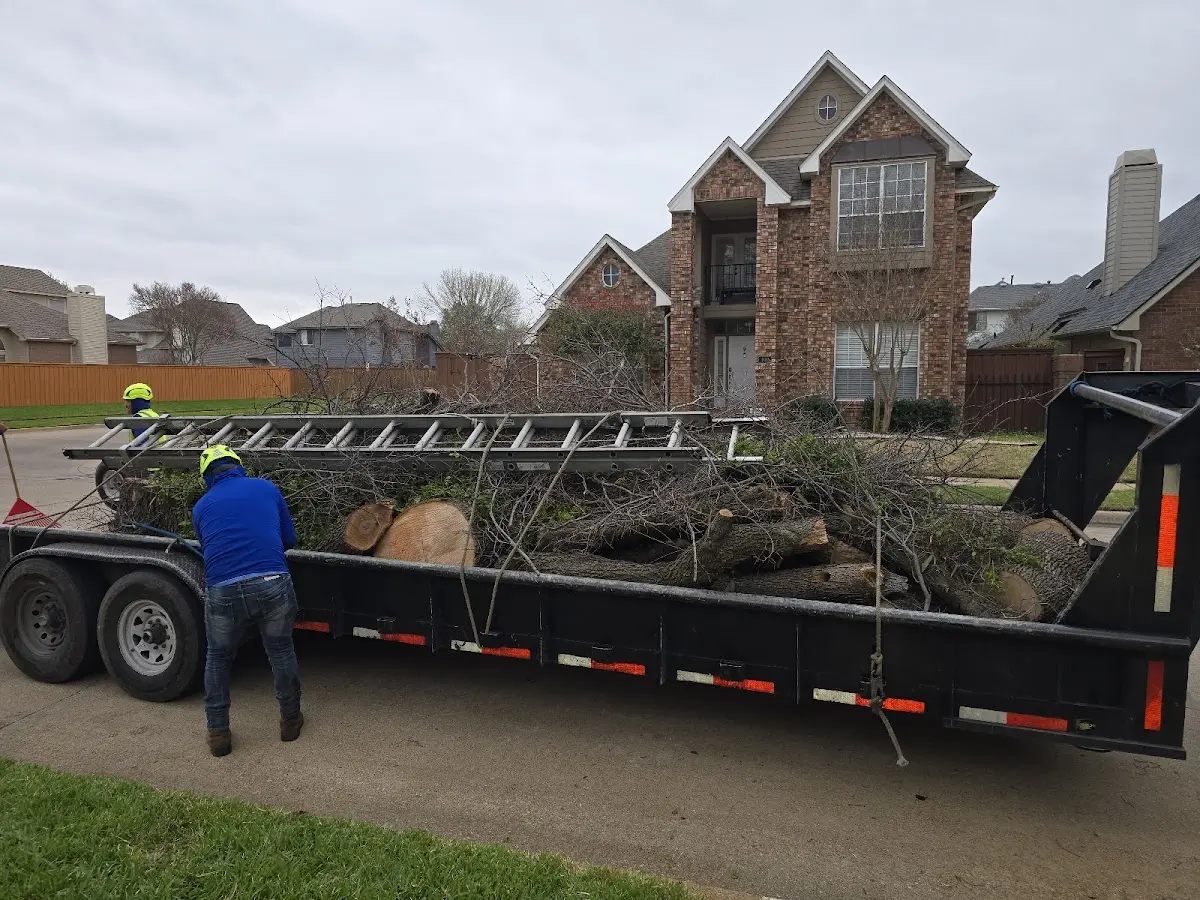 Expert Tree Removal with proper safety equipment in Fenton